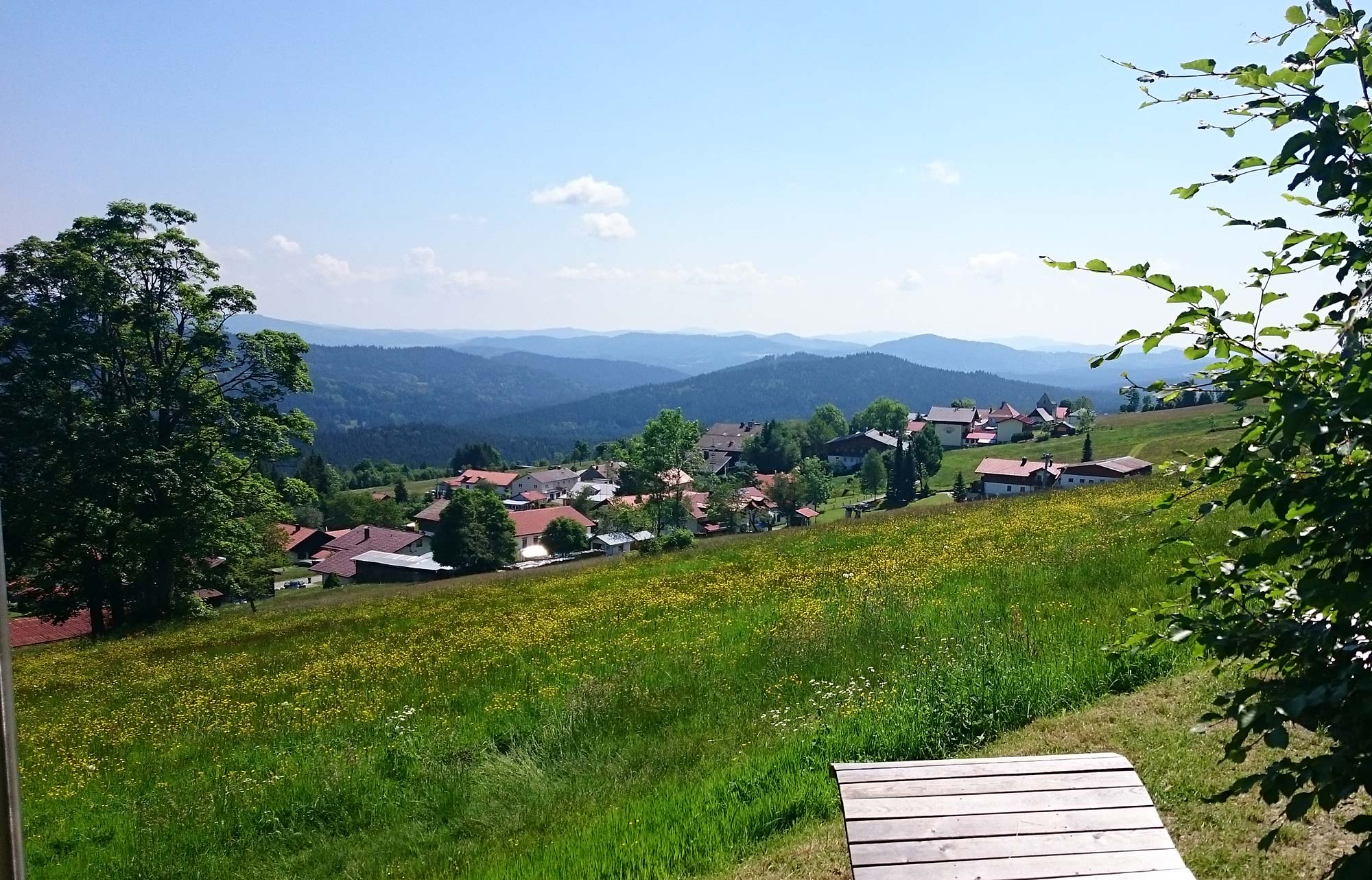 Bayerischer Wald